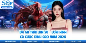 Đá Gà Thái Lan S8 - Loại Hình Cá Cược Đỉnh Cao Năm 2026