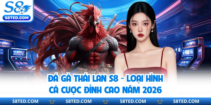 Đá Gà Thái Lan S8 - Loại Hình Cá Cược Đỉnh Cao Năm 2026