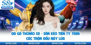 Đá Gà Thomo S8 - Săn Kèo Tiền Tỷ Trên Các Trận Đấu Nảy Lửa