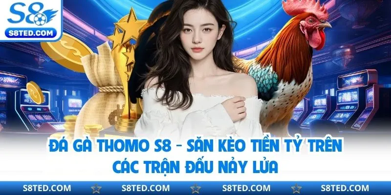 Đá Gà Thomo S8 - Săn Kèo Tiền Tỷ Trên Các Trận Đấu Nảy Lửa