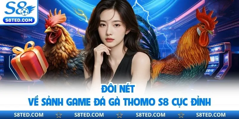 Đôi nét về sảnh game đá gà thomo S8 cực đỉnh