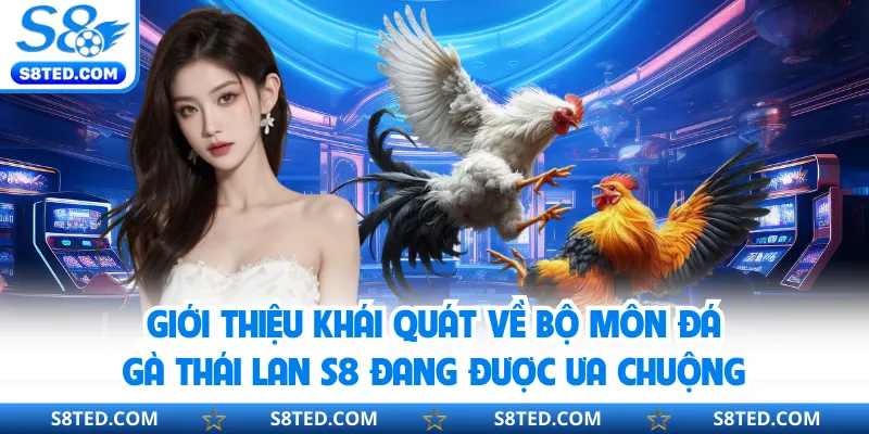 Giới thiệu khái quát về bộ môn đá gà Thái Lan S8 đang được ưa chuộng