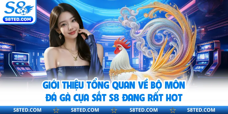 Giới thiệu tổng quan về bộ môn đá gà cựa sắt S8 đang rất hot