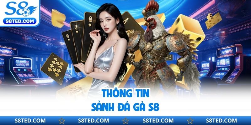 Thông tin sảnh đá gà S8