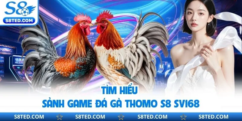 Tìm hiểu sảnh game đá gà thomo S8 SV168